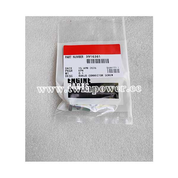Cummins Banjo Connector Screw 3916361