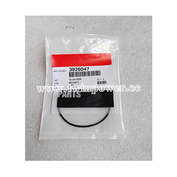 Cummins O Ring Seal 3926047
