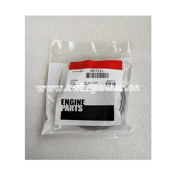 Cummins Oil Seal 3937111