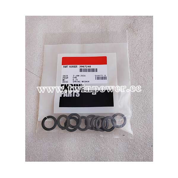 Cummins Spring Washer 3967248