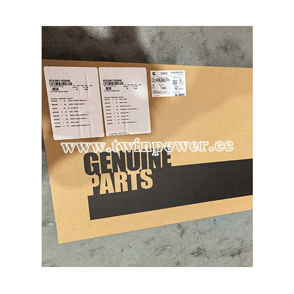 Cummins 4089478