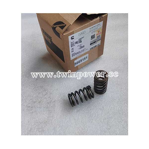 Cummins 4936080F