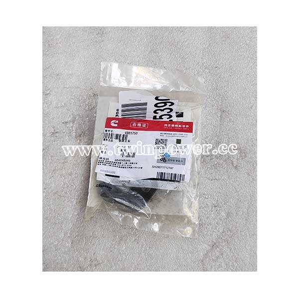 Cummins 4981750