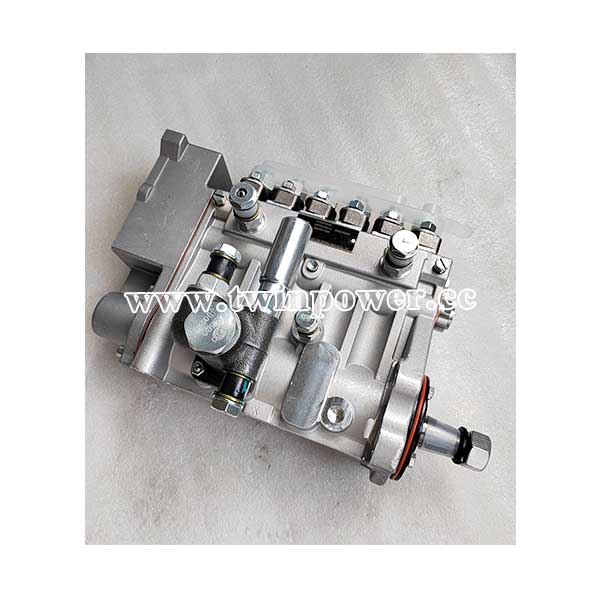 ECFI Pump Assembly 1000950888