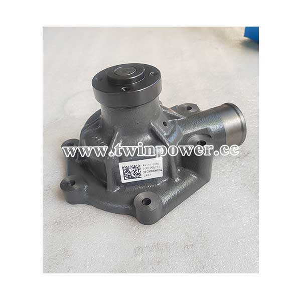 Water Pump 1001906784