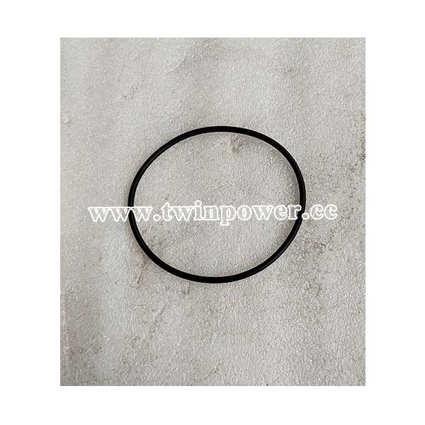 Sealing Ring 13061608