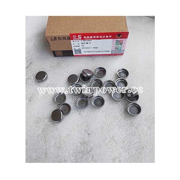 Cummins Expansion Plug 3812092