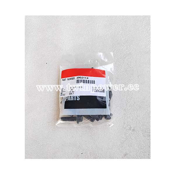 Cummins Screw 3902114