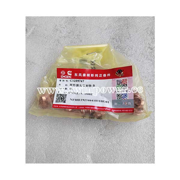 Cummins Banjo Connector Seal 4942278
